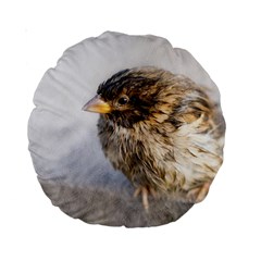 Funny Wet Sparrow Bird Standard 15  Premium Round Cushions by FunnyCow