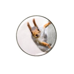 Curious Squirrel Hat Clip Ball Marker (10 Pack) by FunnyCow