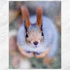 Squirrel Looks At You Canvas 12  X 16   by FunnyCow