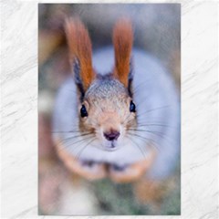 Squirrel Looks At You Canvas 24  X 36  by FunnyCow