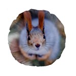 Squirrel Looks At You Standard 15  Premium Round Cushions Front