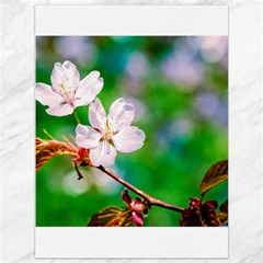 Sakura Flowers On Green Canvas 36  X 48   by FunnyCow