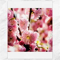 Blooming Almond At Sunset Canvas 12  X 16   by FunnyCow