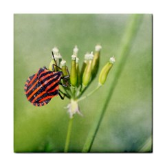 One More Bottle Does Not Hurt Tile Coasters by FunnyCow