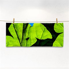 Window Of Opportunity Hand Towel by FunnyCow