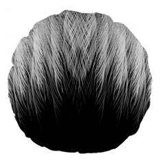 Feather Graphic Design Background Large 18  Premium Flano Round Cushions by Nexatart