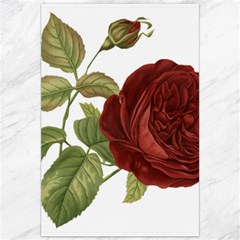 Rose 1077964 1280 Canvas 20  X 30  by vintage2030