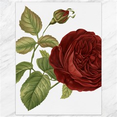 Rose 1077964 1280 Canvas 36  X 48  by vintage2030
