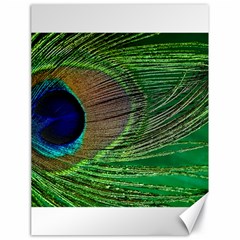 Peacock Feather Macro Peacock Bird Canvas 18  X 24  by Simbadda