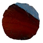 ACID RAIN Large 18  Premium Round Cushions Back