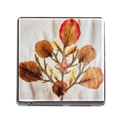 Holy Land Flowers 14 Memory Card Reader (square 5 Slot) by DeneWestUK