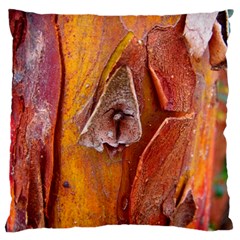 Bark Tree Texture Wood Trunk Large Cushion Case (two Sides) by Sapixe