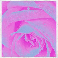 Perfect Hot Pink And Light Blue Rose Detail Canvas 16  X 16  by myrubiogarden