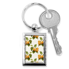 Apricot Fruit Vintage Art Key Chains (rectangle)  by Pakrebo