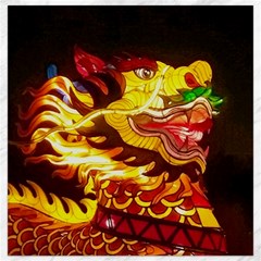 Dragon Lights Ki Rin Canvas 12  X 12  by Riverwoman