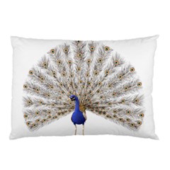 Peacock Colorful Bird Feather Blue Pillow Case (two Sides) by Wegoenart