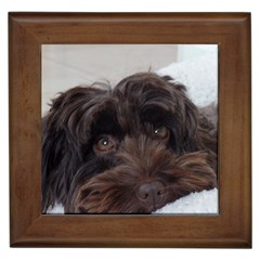 Laying In Dog Bed Framed Tiles by pauchesstore