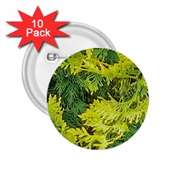 Garden Of The Phoenix 2 25  Buttons (10 Pack)  by Riverwoman