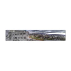 Ohio Supreme Court View Flano Scarf (mini) by Riverwoman