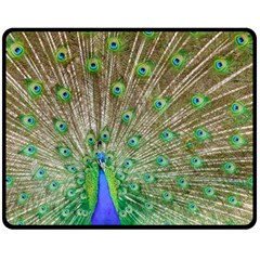 Peacock Color Bird Colorful Fleece Blanket (medium)  by Pakrebo