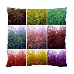 Goldenrod Collage Standard Cushion Case (two Sides) by okhismakingart