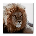 Lion s Focus Tile Coaster Front