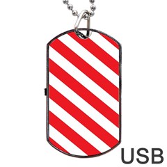 Candy Cane Red White Line Stripes Pattern Peppermint Christmas Delicious Design Dog Tag Usb Flash (two Sides) by genx