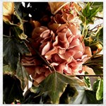 Begonia 1 1 Canvas 16  x 16  15.2 x15.41  Canvas - 1