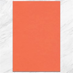 Appreciating Apricot Canvas 24  X 36  by Janetaudreywilson