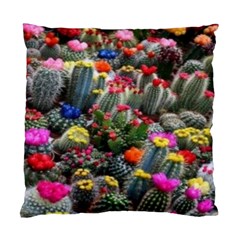 Cactus Standard Cushion Case (two Sides) by Sparkle