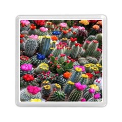 Cactus Memory Card Reader (square) by Sparkle