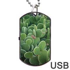 Green Cactus Dog Tag Usb Flash (one Side) by Sparkle