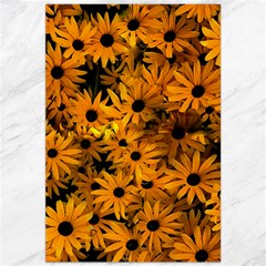 Rudbeckias  Canvas 20  X 30  by Sobalvarro