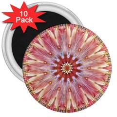 Pink Beauty 1 3  Magnets (10 Pack)  by LW41021