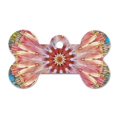 Pink Beauty 1 Dog Tag Bone (one Side) by LW41021
