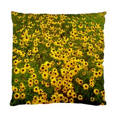 Daisy May Standard Cushion Case (two Sides) by LW323