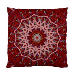 Redyarn Standard Cushion Case (one Side) by LW323