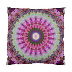 Sweet Cake Standard Cushion Case (two Sides) by LW323