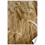 Wheat-field Canvas 12  x 18  11.88 x17.36  Canvas - 1