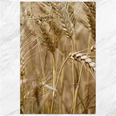 Wheat-field Canvas 24  X 36  by SomethingForEveryone