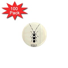 Img016 1  Mini Magnets (100 Pack)  by Limerence