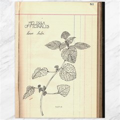 Lemon Balm Canvas 12  X 16  by Limerence