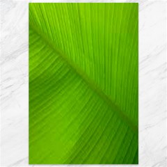 Banana Leaf Canvas 12  X 18  by artworkshop