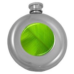 Banana Leaf Round Hip Flask (5 Oz) by artworkshop