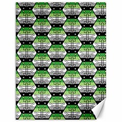 Hackers Town Void Mantis Hexagon Aromantic Pride Flag Canvas 12  X 16  by WetdryvacsLair