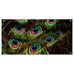 Peacock-feathers-color-plumage Banner and Sign 8  x 4  Front