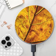 Leaf Leaf Veins Fall Wireless Charger by artworkshop