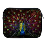 Beautiful Peacock Feather Apple iPad 2/3/4 Zipper Cases Front