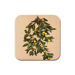 A Vintage Bunch Of Lemons Rubber Square Coaster (4 Pack) by ConteMonfrey
