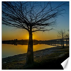 Grande Stream Landscape, Flores, Uruguay002 Canvas 12  X 12  by dflcprintsclothing